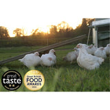 Packington Free Range Cockerel