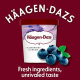 Haagen-Dazs Blueberries Cream