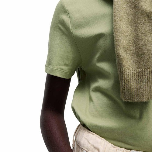 M&S Pure Cotton T-Shirt, 14, Fern Green