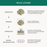 Together Health Mens Multi Zinc Selenium B Vits