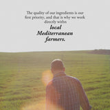 Estrella Damm Premium Spanish Lager Beer Bottles