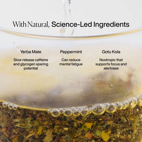 MISSION Focus Yerba Mate Tea Bags with Peppermint Liquorice