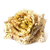 M&S Giant Bourbon Biscuit Make Your Own