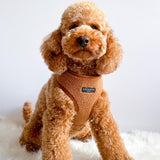 Cocopup London Paddington Teddy Dog Harness Medium