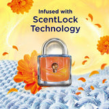 Comfort Scent Booster Elixir Sunshiny Days