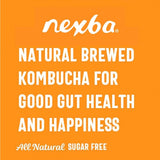 Nexba Mixed Berry Kombucha