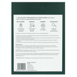 M&S Aphrodite Double Flower Amaryllis Indoor Plant