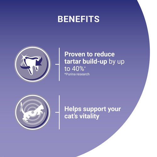 Purina One Salmon Dry Cat Food