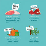 Edgard Cooper Puppy Grain Free Wet Dog Food with Duck Chicken