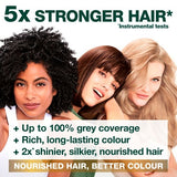 Garnier Nutrisse 412 Pure Chocolate Medium Dark Brown