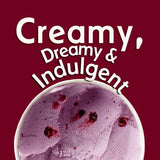 Haagen-Dazs Blueberries Cream