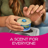California Scents Car Scents Newport New Car Car Air Freshener