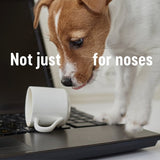 Kleenex The Original Tissues Twin Box