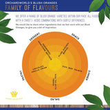 OrchardWorld Blush Oranges