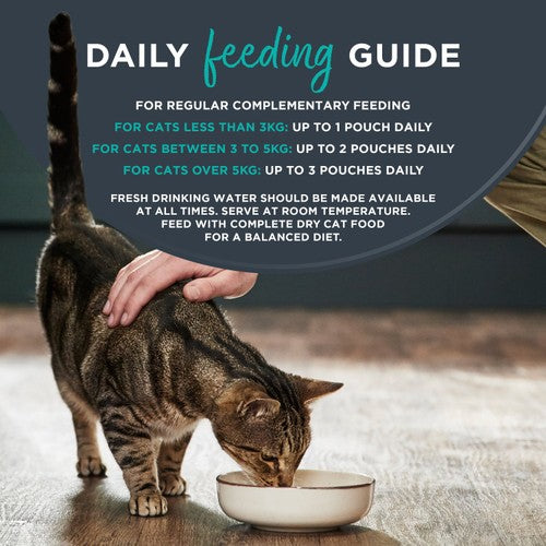 Encore senior cat fish in jelly complementary food multi-pack pouches - British product