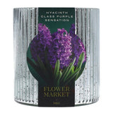 M&S Hyacinth Glass - Purple Sensation