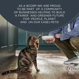 Encore senior cat fish in jelly complementary food multi-pack pouches - British product