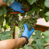 Red Berry Tissue Paper