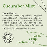 HOLOS Organic Sparkling Tea Cucumber Mint