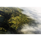 Terra Organica Parcel Series No 2 Gruner Veltliner