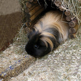 Naturals Cornflower Daisy Sticks