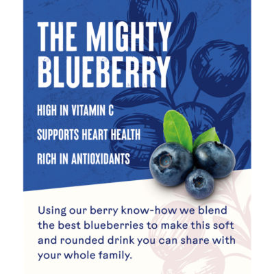 Ocean Spray Blueberry Juice Drink 1 Litre, imported from the UK