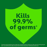 Dettol Homes with Pets Disinfectant Spray 300ml - British product