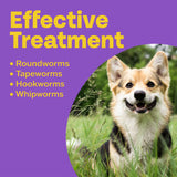 Bob Martin Clear 3in1 Flavoured Wormer Tablets for Dogs 2 Tablets - British product