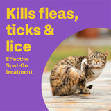 Bob Martin spot-on solution for cats and ferrets 2 pipettes - British product