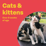 Bob Martin spot-on solution for cats and ferrets 2 pipettes - British product