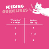 Webbox cat treat with salmon 5 x 15g - British product