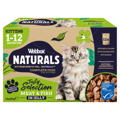 Webbox Meat and Fish Jelly Kitten Food 8 x 100g (British brand)