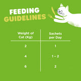 Webbox Lick-e-Lix cat treat liver sausage cat grass 75g, UK version