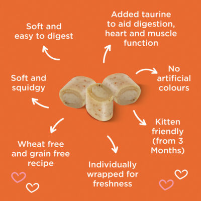 Webbox Tid-Bits Chicken cat treats 30g, UK version