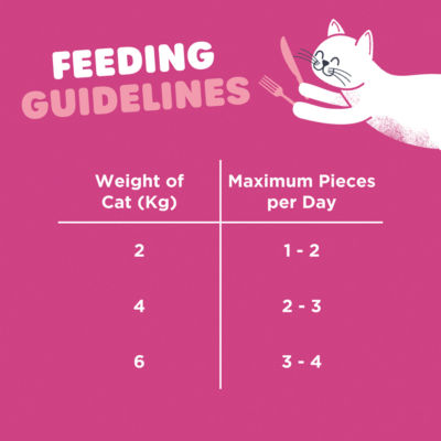 Webbox Tid-Bits Salmon cat treats 30g pack (British brand)