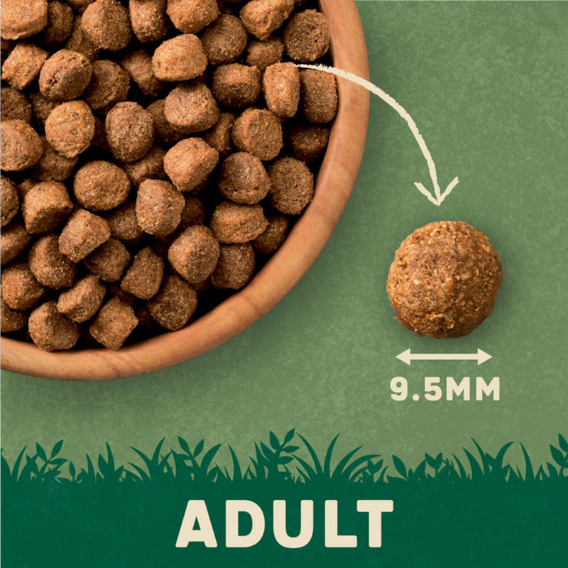 Harringtons Adult Dog Food Salmon & Potato 12kg, UK version