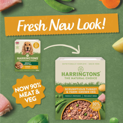 Harringtons Grain Free Turkey & Potato with Vegetables Adult Dog Food Tray