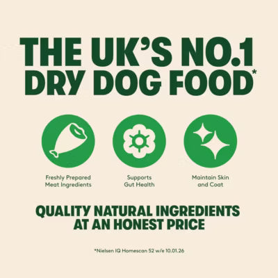 Harringtons salmon and potato dry adult dog food 1.7kg, UK version