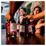 Budweiser Lager Beer Bottles 15x300ml - British product