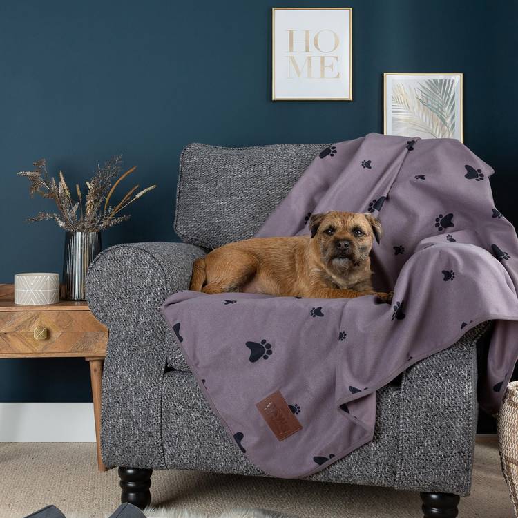 Paws For Slumber waterproof grey pet blanket medium (British brand)