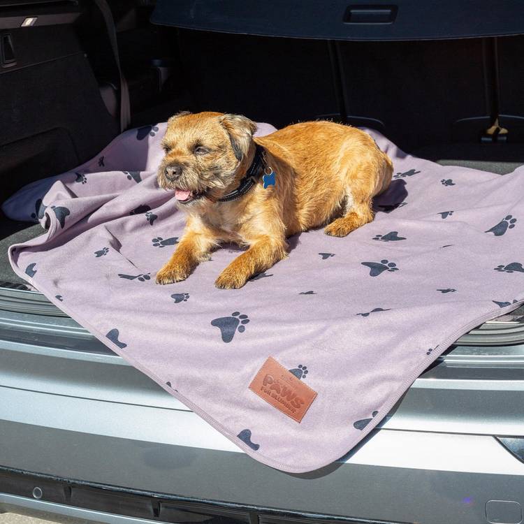 Paws For Slumber waterproof grey pet blanket medium (British brand)