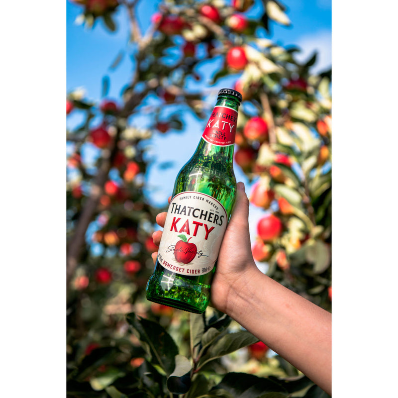 Thatchers Katy cider 500ml (British brand)