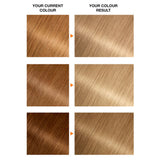 Garnier Belle Color 9 Natural Light Blonde permanent hair dye - British product