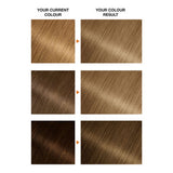 ASDA Garnier Belle Color 8 Natural Medium Blonde Permanent Hair Dye- Buy online at McGrocer