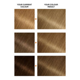 Garnier 7.3 Dark Golden Blonde hair dye kit, UK version