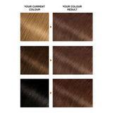 Garnier 6 Natural Light Brown Permanent Hair Dye, UK version