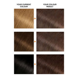 Garnier Belle Color 5 Natural Brown hair dye, UK version