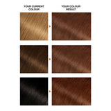 Garnier Belle Color 5.5 Auburn Hair Dye, UK version