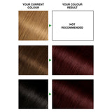 Garnier Nutrisse hair dye deep reddish brown, UK version