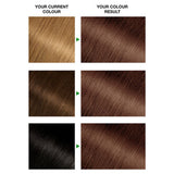 Garnier Nutrisse permanent hair dye 6 Light Brown, UK version